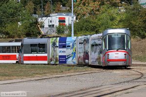 Bild: brno1902_bk1808170319.jpg - anklicken zum Vergrößern