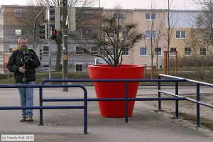 Bild: bk_cw1003190219.jpg - anklicken zum Vergrößern Bild: bk_cw1003190219.jpg - anklicken zum Vergrößern