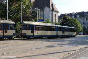 Bild: wlb122_bk1808180257.jpg - anklicken zum Vergrößern