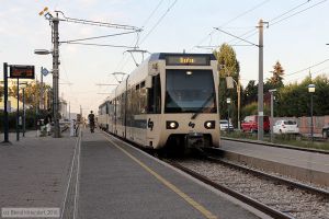 Bild: wlb413_bk1609010269.jpg - anklicken zum Vergrößern