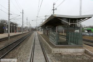 Bild: bffelixdorf_bk1103180038.jpg - anklicken zum Vergrößern Bild: bffelixdorf_bk1103180038.jpg - anklicken zum Vergrößern