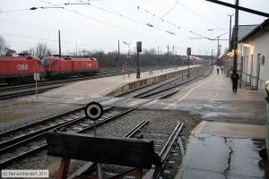Bild: bfebenfurth_bk1103170300.jpg