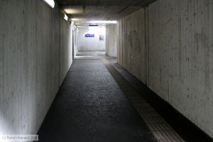 Bild: bfstjohannit_bk1103310056.jpg - anklicken zum Vergrößern Bild: bfstjohannit_bk1103310056.jpg - anklicken zum Vergrößern