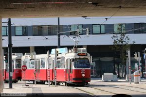 Bild: wien4012_bk1808160003.jpg - anklicken zum Vergrößern