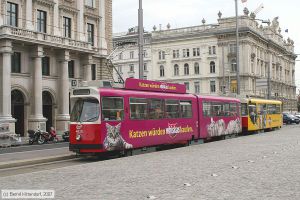 Bild: wien4030_bk0708100244.jpg - anklicken zum Vergrößern