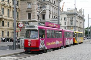 Bild: wien4030_bk0708100249.jpg - anklicken zum Vergrößern