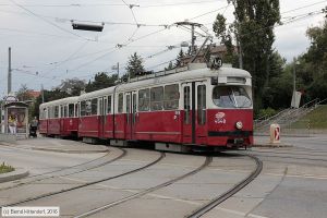 Bild: wien4548_bk1608290073.jpg - anklicken zum Vergrößern