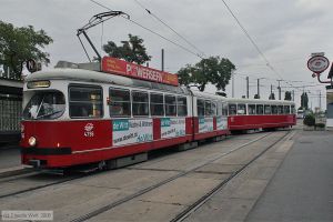 Bild: wien4796_cw0809170178.jpg - anklicken zum Vergrößern Bild: wien4796_cw0809170178.jpg - anklicken zum Vergrößern