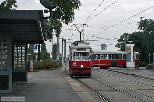 Bild: wien4799_cw0809170190.jpg - anklicken zum Vergrößern