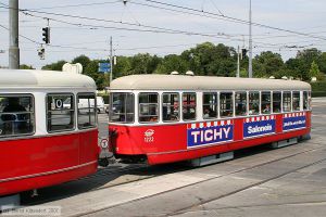 Bild: wien1222_bk0708100295.jpg - anklicken zum Vergrößern