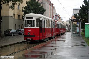 Bild: wien1265_cw0809150022.jpg - anklicken zum Vergrößern Bild: wien1265_cw0809150022.jpg - anklicken zum Vergrößern