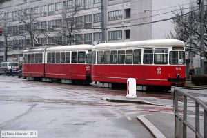 Bild: wien1335_bk1103170042.jpg - anklicken zum Vergrößern