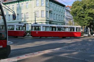 Bild: wien1427_bk1808160313.jpg - anklicken zum Vergrößern