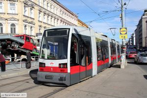 Bild: wien1_bk1103140026.jpg - anklicken zum Vergrößern