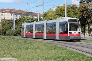 Bild: wien45_bk1707280046.jpg - anklicken zum Vergrößern