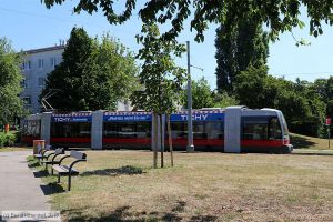 Bild: wien128_bk1907230047.jpg - anklicken zum Vergrößern Bild: wien128_bk1907230047.jpg - anklicken zum Vergrößern