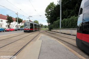 Bild: wien73_bk1707280230.jpg - anklicken zum Vergrößern Bild: wien73_bk1707280230.jpg - anklicken zum Vergrößern