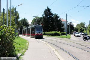 Bild: wien76_bk1707280099.jpg - anklicken zum Vergrößern Bild: wien76_bk1707280099.jpg - anklicken zum Vergrößern