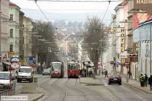 Bild: wien82_bk1002230316.jpg - anklicken zum Vergrößern