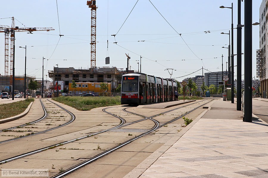 Wien - Stra&szlig;enbahn - 603
/ Bild: wien603_bk1808160016.jpg