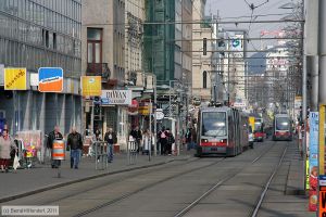 Bild: wien609_bk1103150049.jpg - anklicken zum Vergrößern