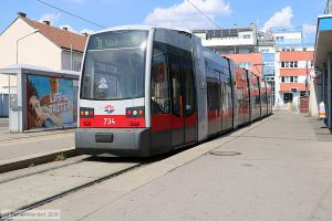 Bild: wien734_bk1808180137.jpg - anklicken zum Vergrößern
