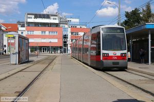 Bild: wien734_bk1808180138.jpg - anklicken zum Vergrößern