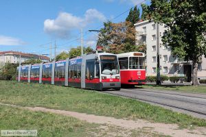 Bild: wien751_bk1707280036.jpg - anklicken zum Vergrößern