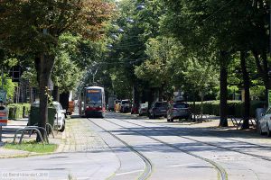 Bild: wien779_bk1907240074.jpg - anklicken zum Vergrößern
