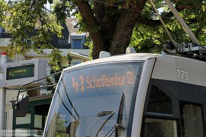 Bild: wien779_bk1907240081.jpg - anklicken zum Vergrößern