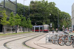 Bild: wien791_bk1907270002.jpg - anklicken zum Vergrößern Bild: wien791_bk1907270002.jpg - anklicken zum Vergrößern