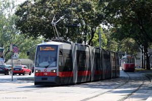 Bild: wien798_bk1907240004.jpg - anklicken zum Vergrößern