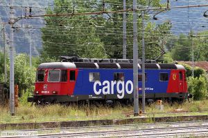Bild: sbb11683_bk1808090155.jpg - anklicken zum Vergrößern