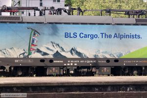 Bild: bls4754073_bk2404150015.jpg - anklicken zum Vergrößern