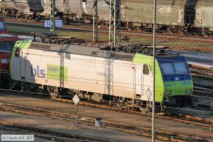 Bild: bls4850061_cw0703110139.jpg - anklicken zum Vergrößern
