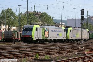Bild: bls486505_bk0905230255.jpg - anklicken zum Vergrößern
