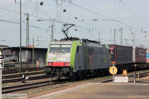 Bild: bls486505_bk1603310199.jpg - anklicken zum Vergrößern