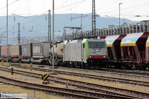 Bild: bls486508_bk1603310111.jpg - anklicken zum Vergrößern