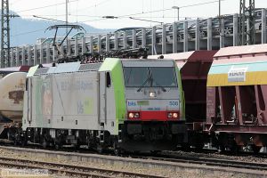 Bild: bls486508_bk1603310113.jpg - anklicken zum Vergrößern