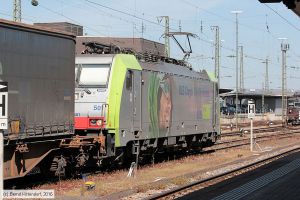 Bild: bls486501_bk1605060062.jpg - anklicken zum Vergrößern