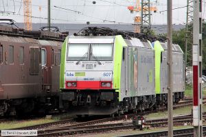Bild: bls486507_bk1408110030.jpg - anklicken zum Vergrößern