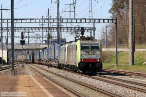 Bild: bls486509_bk1804060220.jpg - anklicken zum Vergrößern