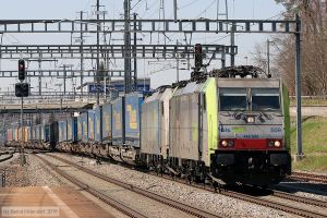 Bild: bls486509_bk1804060221.jpg - anklicken zum Vergrößern