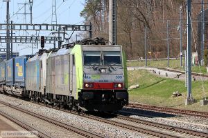 Bild: bls486509_bk1804060222.jpg - anklicken zum Vergrößern