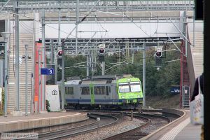 Bild: bls5657366_bk1310020422.jpg - anklicken zum Vergrößern