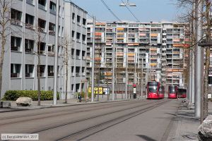 Bild: bern653_bk1703290122.jpg - anklicken zum Vergrößern