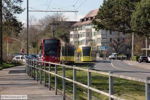 Bild: bern668_bk1703280296.jpg - anklicken zum Vergrößern