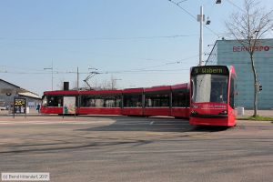 Bild: bern763_bk1703280005.jpg - anklicken zum Vergrößern