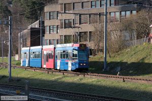 Bild: bern81_bk1703270254.jpg - anklicken zum Vergrößern