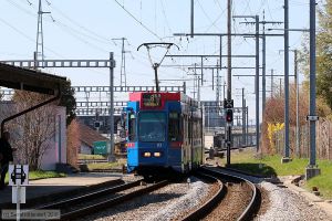 Bild: bern83_bk1804060272.jpg - anklicken zum Vergrößern